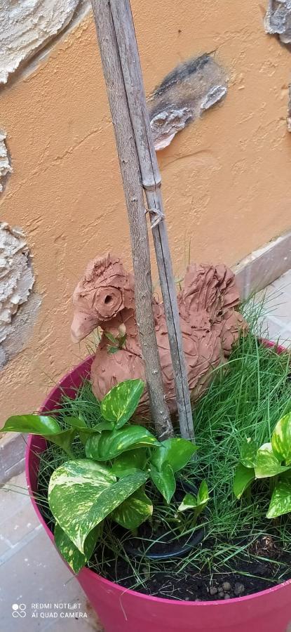 Come A Casa Syracuse Exterior foto